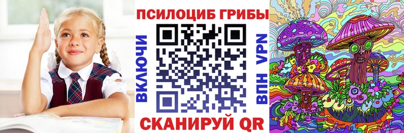 Купить  Юрьев-Польский  Псилоцибиновые грибы ЛСД 